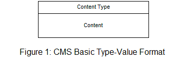CMS Basic Type-Value Format