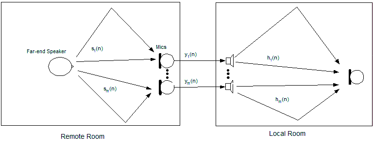 Multichannel Acoustic Echo Cancellation