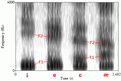 Figure 5: Vowel Spectrogram Examples [5]