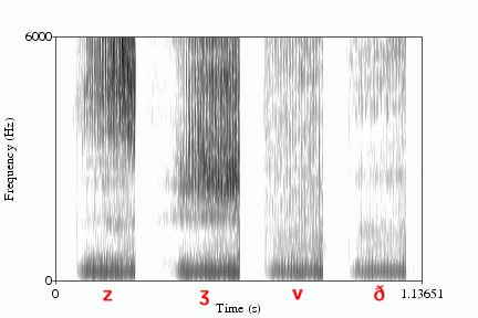 Figure 7: Voiced Fricatives Spectrogram Examples [5]