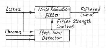 Flesh Tone Noise Reduction Correction