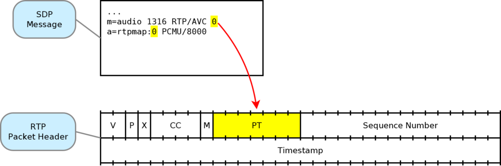 RTP Payload Type2 