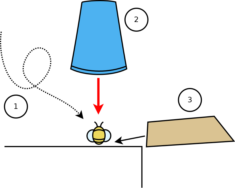 bee capture diagram remove a bee instructinos